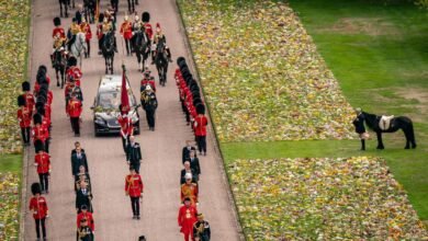 Queen Elizabeth's pony Emma