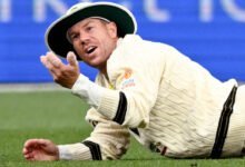 David Warner