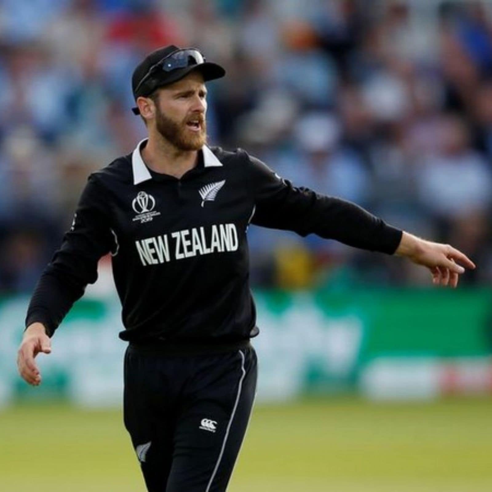 Kane Williamson