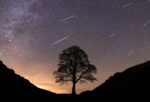 Sycamore Gap