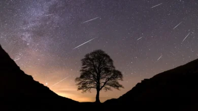 Sycamore Gap