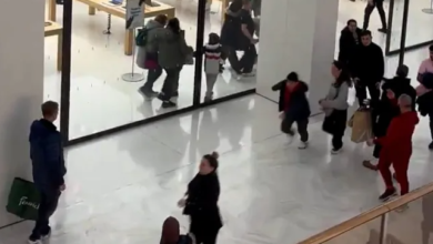 Chaos unfolds as youths raid Apple store in Brent Cross Shopping Centre, North London