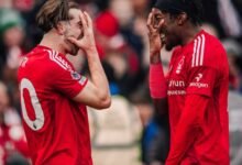 Nottingham Forest 7 - 0 Brighton & Hove Albion